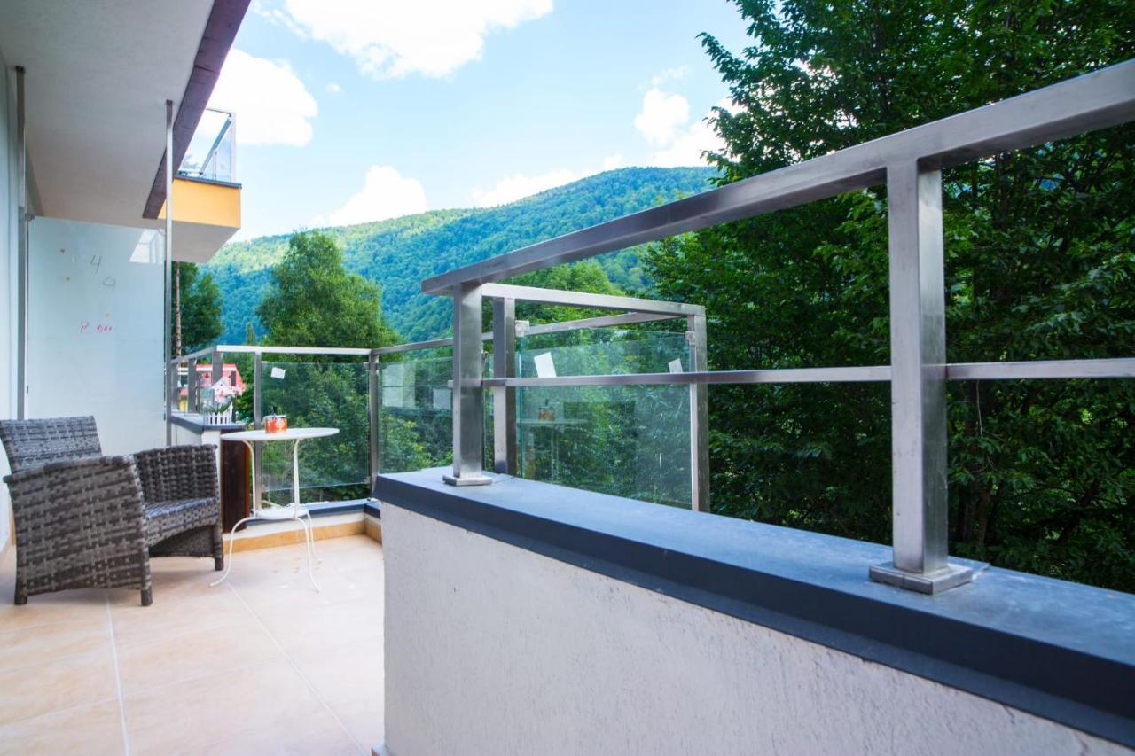 Vlad Apartments -Colina Marei Sinaia Exteriér fotografie